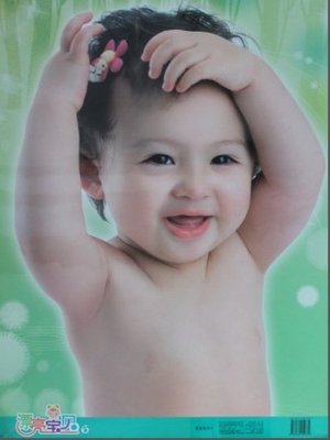 cover image of 漂亮宝贝6(Beautiful Babies Volume 6)